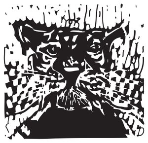Cat with Whiskers