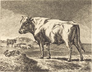 Cow