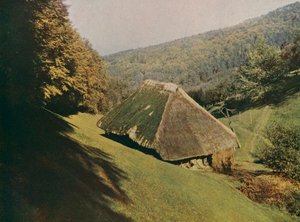 Traditional Black Forest farmhouse, Wildtal, Germany by German Photographer