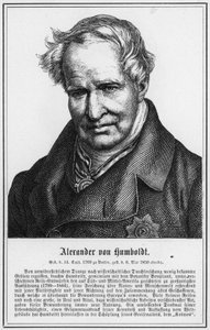 Alexander von Humboldt (engraving) by German School