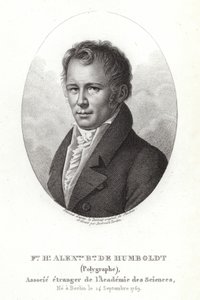 Alexander von Humboldt by German School