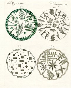 All Kinds of Salt Crystals
