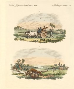 Antelopes Hunting with Leopards by German School