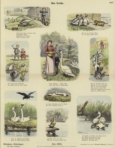 At the Pond by German School