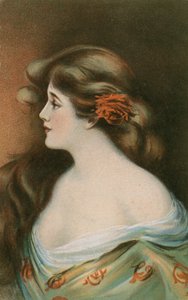 Beauty with long brown hair