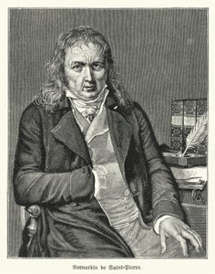 Bernardin de Saint-Pierre, French novelist and botanist by German School