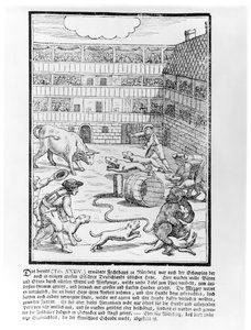 Bull and bear Baiting
