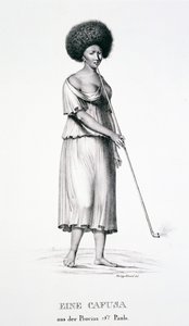 Cafusa woman of the Sao Paulo region, from Atlas of a Journey in Brazil by Dr Von Spix and Dr von Martius by German School