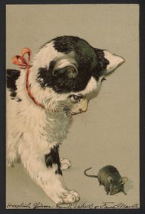 Cat Playing with a Mouse