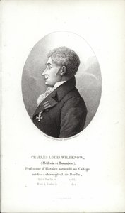 Charles Louis Wildenow by German School