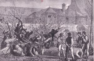 Cutting down trees round Paris for firewood