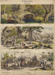 Europe: Forest in Lithuania; German Village; Italian Country Road by German School
