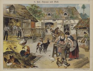 Farm by German School