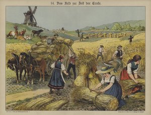 Harvest by German School