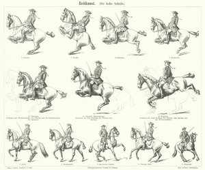 Horsemanship by German School