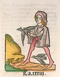 Hortus Sanitatis [The Garden of Health] by Jacob Meydenbach by German School