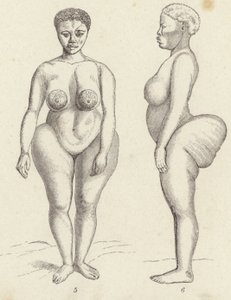 Hottentot Venus by German School