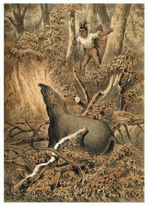 Illustration, Indian Hunting Tapir in Amazon Forest. In De Bootslieden der Amazon-River, Karl Muller, Netherlands