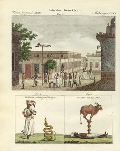 Indian bateleurs by German School