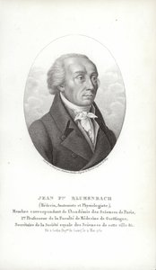 Johann Friedrich Blumenbach by German School