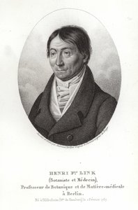 Johann Heinrich Friedrich Link by German School