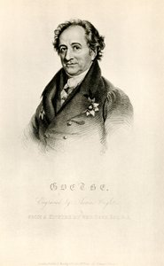 Johann Wolfgang von Goethe by German School