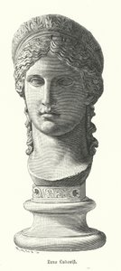 Juno Ludovisi, ancient Roman colossal marble head depicting Antonina Minor, daughter of Mark Antony and Octavia Minor, as the goddess Juno