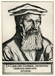 Konrad Gesner by German School
