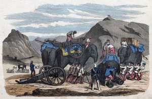 Loading Elephants for Mr. Bock