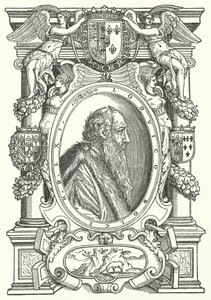 Ludovico Dolce, Italian author, theorist of painting and humanist (engraving) by German School