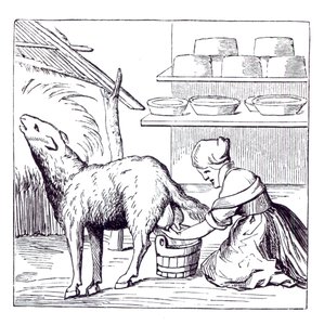 Manufacture of Cheeses in Switzerland, after a Woodcut in Cosmographie Universelle of Munster, Published 1549 by German School