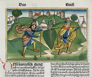 Numbers 13:23 The Grapes of Eschol, from the Nuremberg Bible by German School