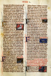 Page from De Natura Rerum on birds by German School