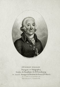 Peter Simon Pallas (1741 – 1811) by German School