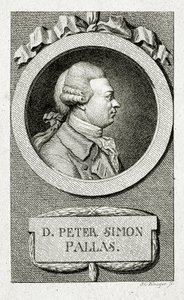 Peter Simon Pallas. (1741 – 1811)