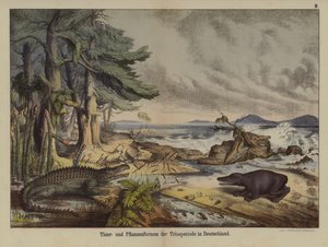 Plants and animals of the Triassic Period in Germany