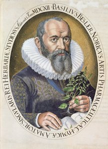 Portrait of Basil Besler in 1612, from the Hortus Eystettensis, pub. 1613