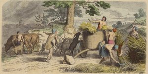 Rural Life in Ancient Greece by German School