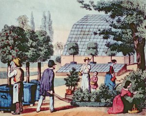Tending the Garden