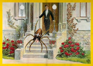 The Spider Woman