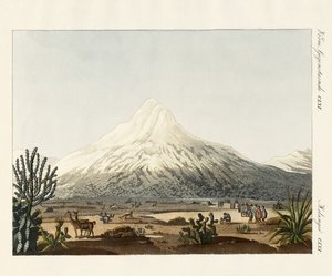The Chimborazo in South America by German School