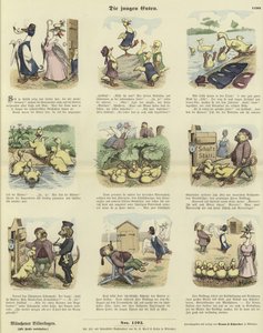 The Ducklings