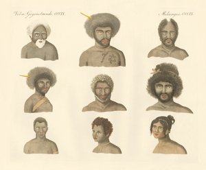 The Papuans by German School