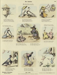 The Pigeons