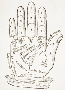 The Right Hand, copy of an illustration from Cerasariensis by Tricassus, Nuremberg 1560, used in a History of Magic, published late 19th century by German School