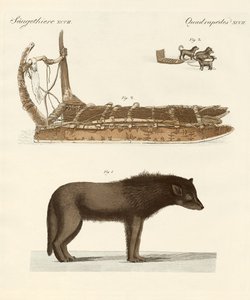 The Dog of the Baffin-Bay by German School