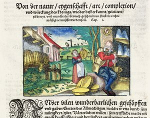 The healing and therapeutic uses of honey in Medicine, illustration from a German treatise on medicines published in Strasbourg in 1573