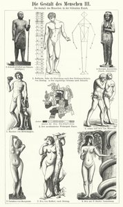 The Human Figure in the Visual Arts by German School