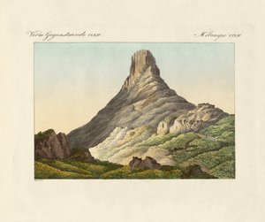 The Skuir on the Egg Island