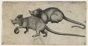 Two Mice, 1450-80